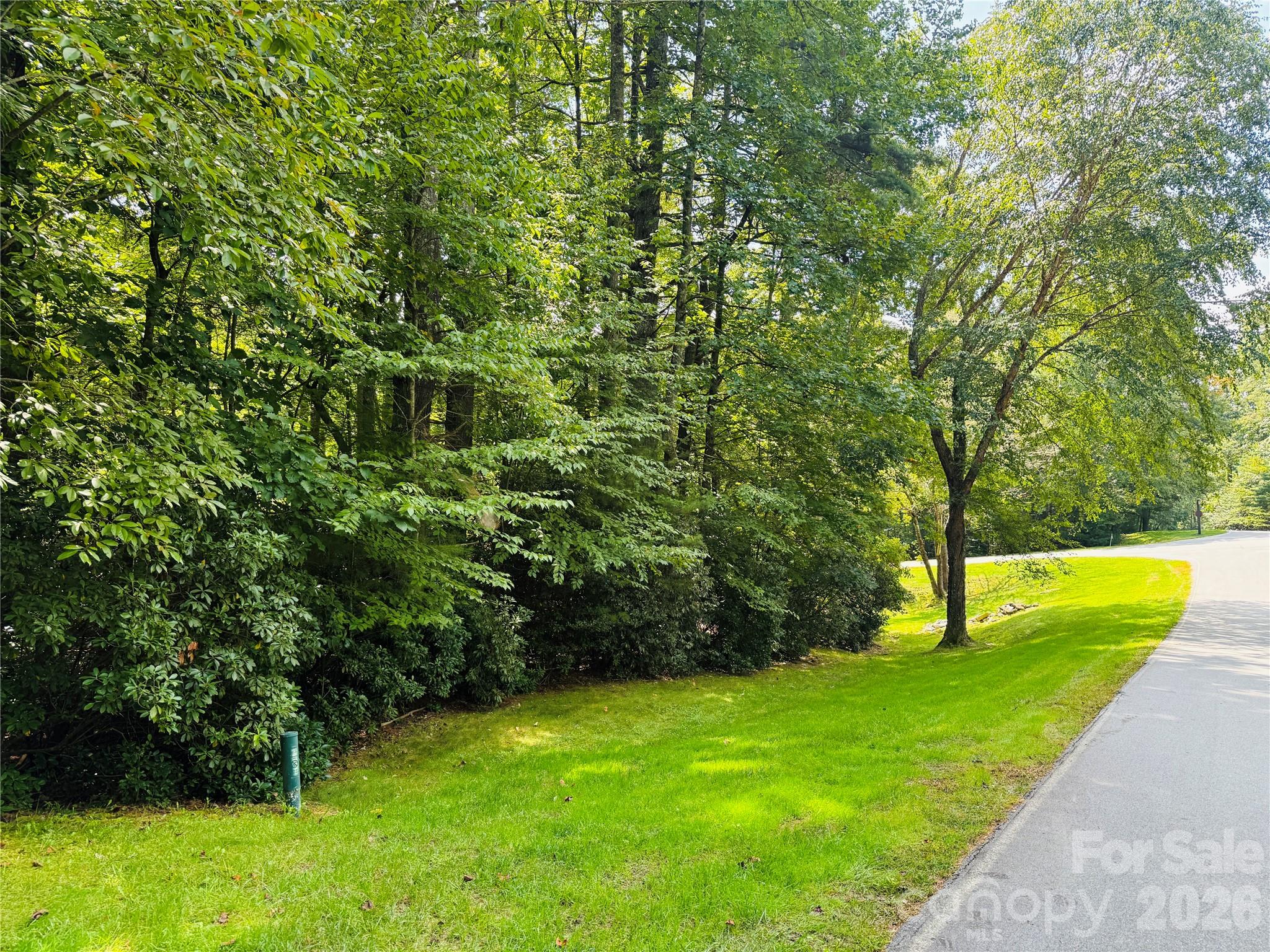 20 Prickly Briar Road Hendersonville NC 28739