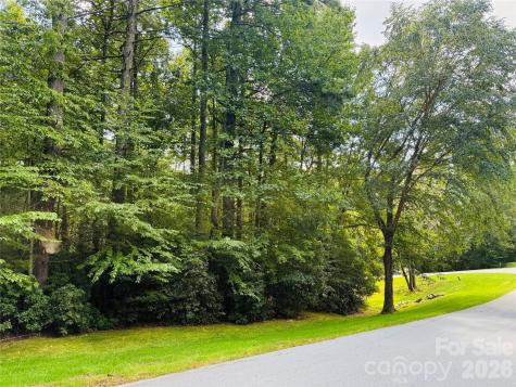 20 Prickly Briar Road Hendersonville NC 28739