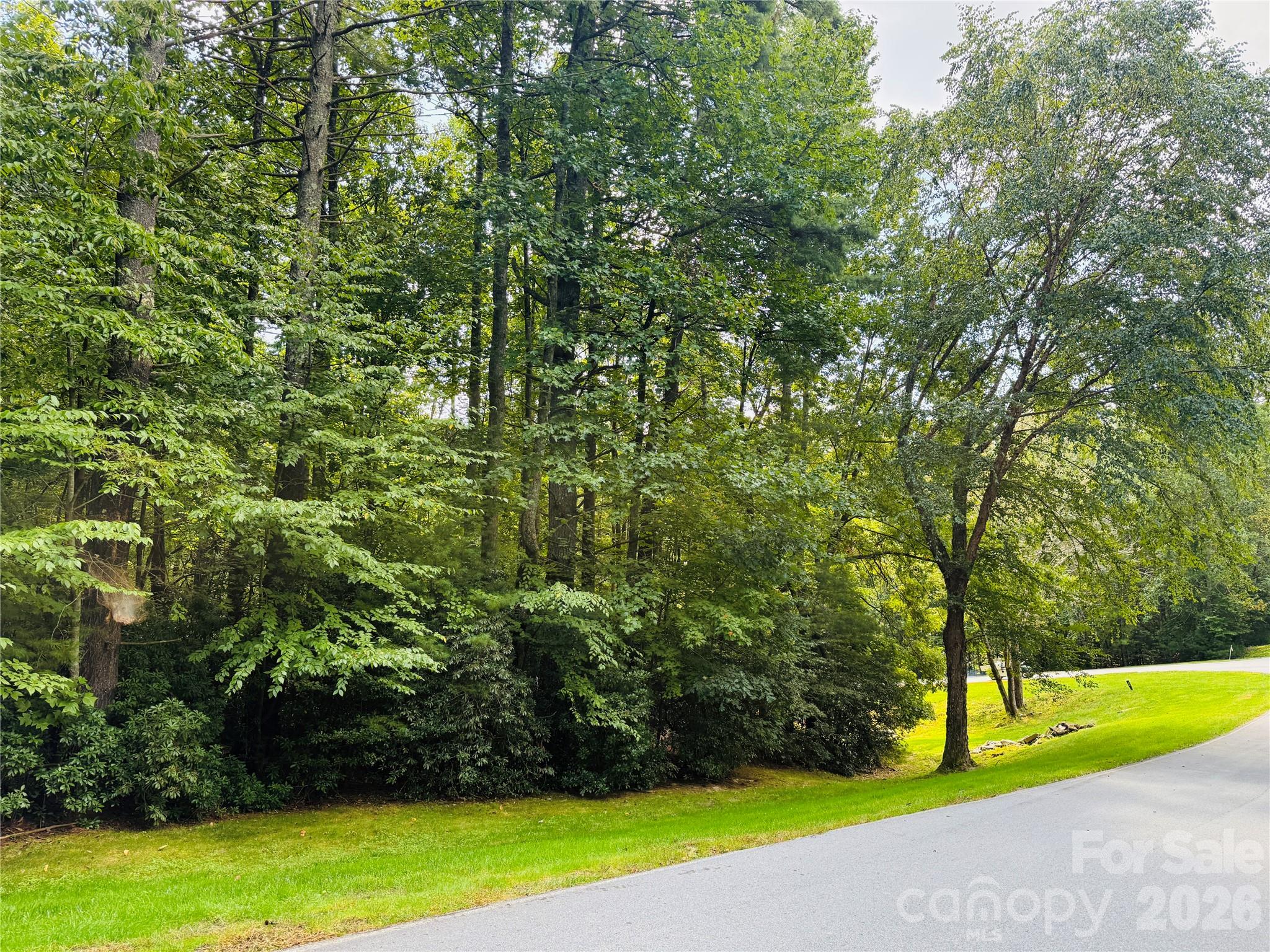 20 Prickly Briar Road Hendersonville NC 28739