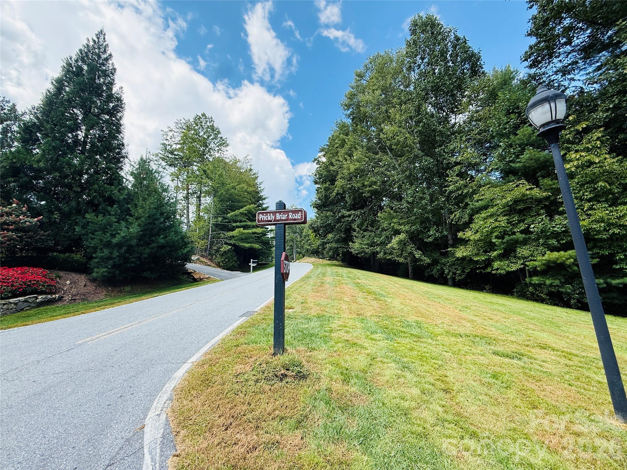 20 Prickly Briar Road Hendersonville NC 28739