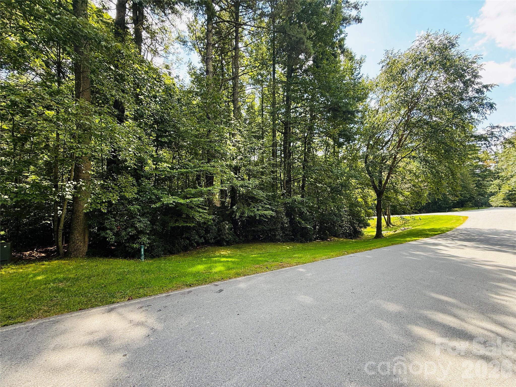 20 Prickly Briar Road Hendersonville NC 28739