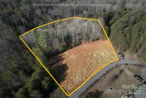 00 Virginia Ridge Connelly Springs NC 28612