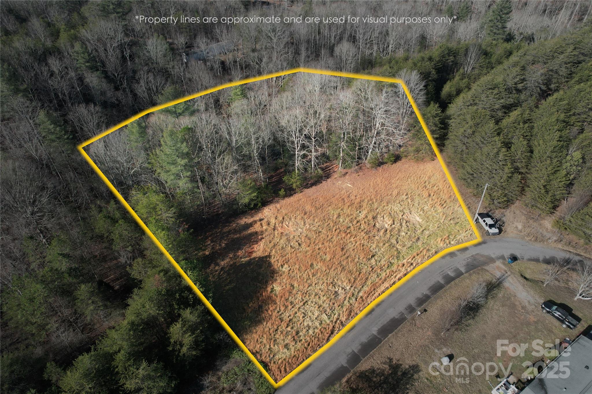 00 Virginia Ridge Connelly Springs NC 28612