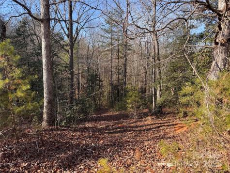 00 Virginia Ridge Connelly Springs NC 28612