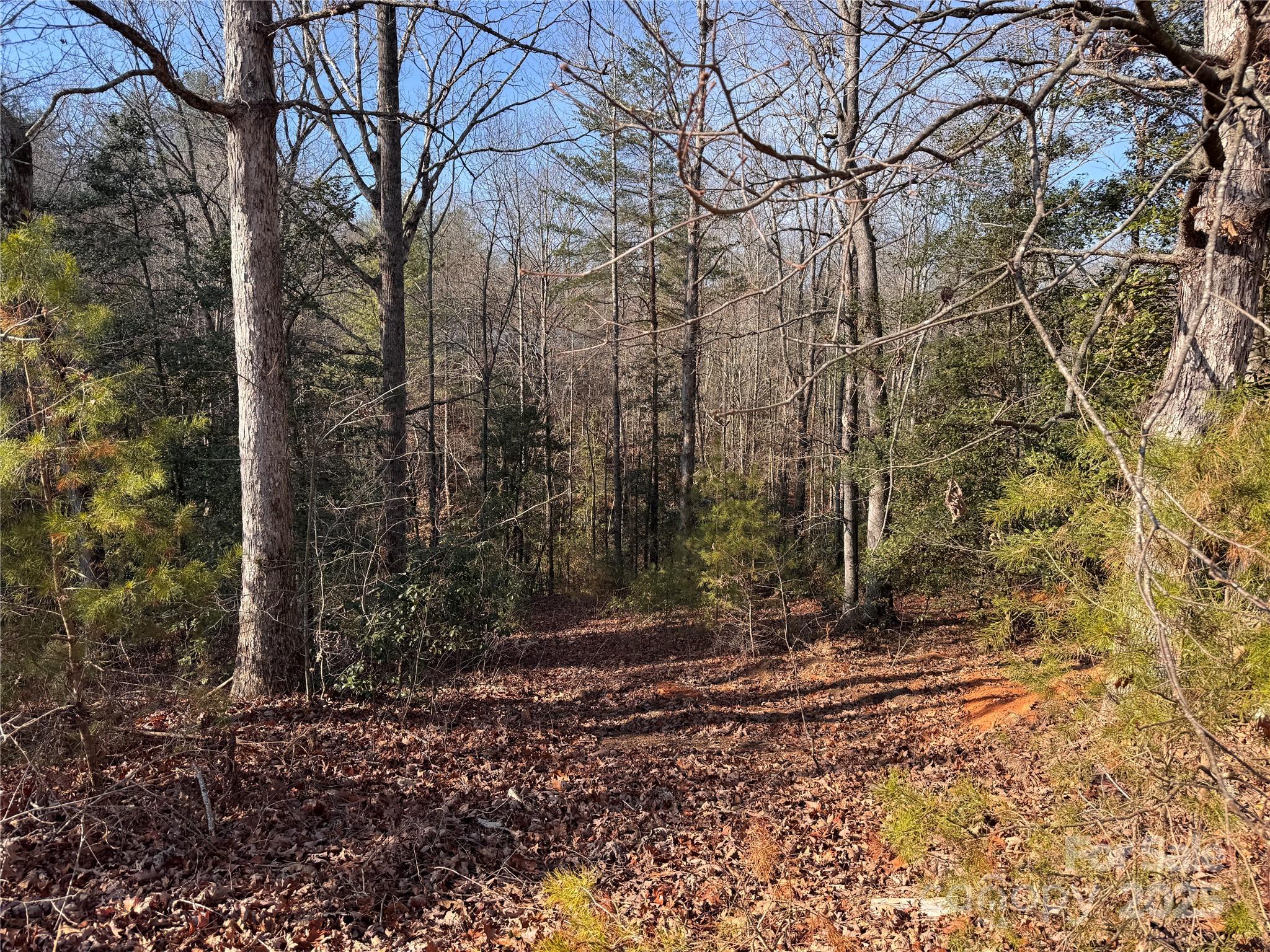 00 Virginia Ridge Connelly Springs NC 28612