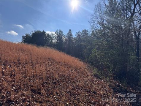 00 Virginia Ridge Connelly Springs NC 28612