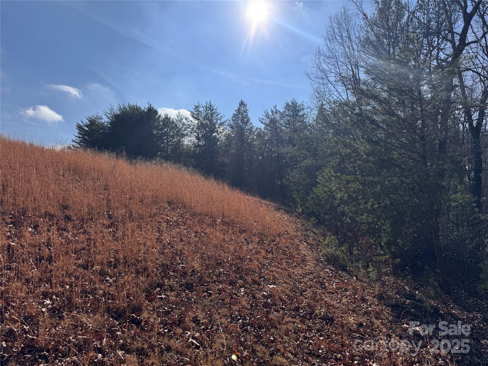 00 Virginia Ridge Connelly Springs NC 28612