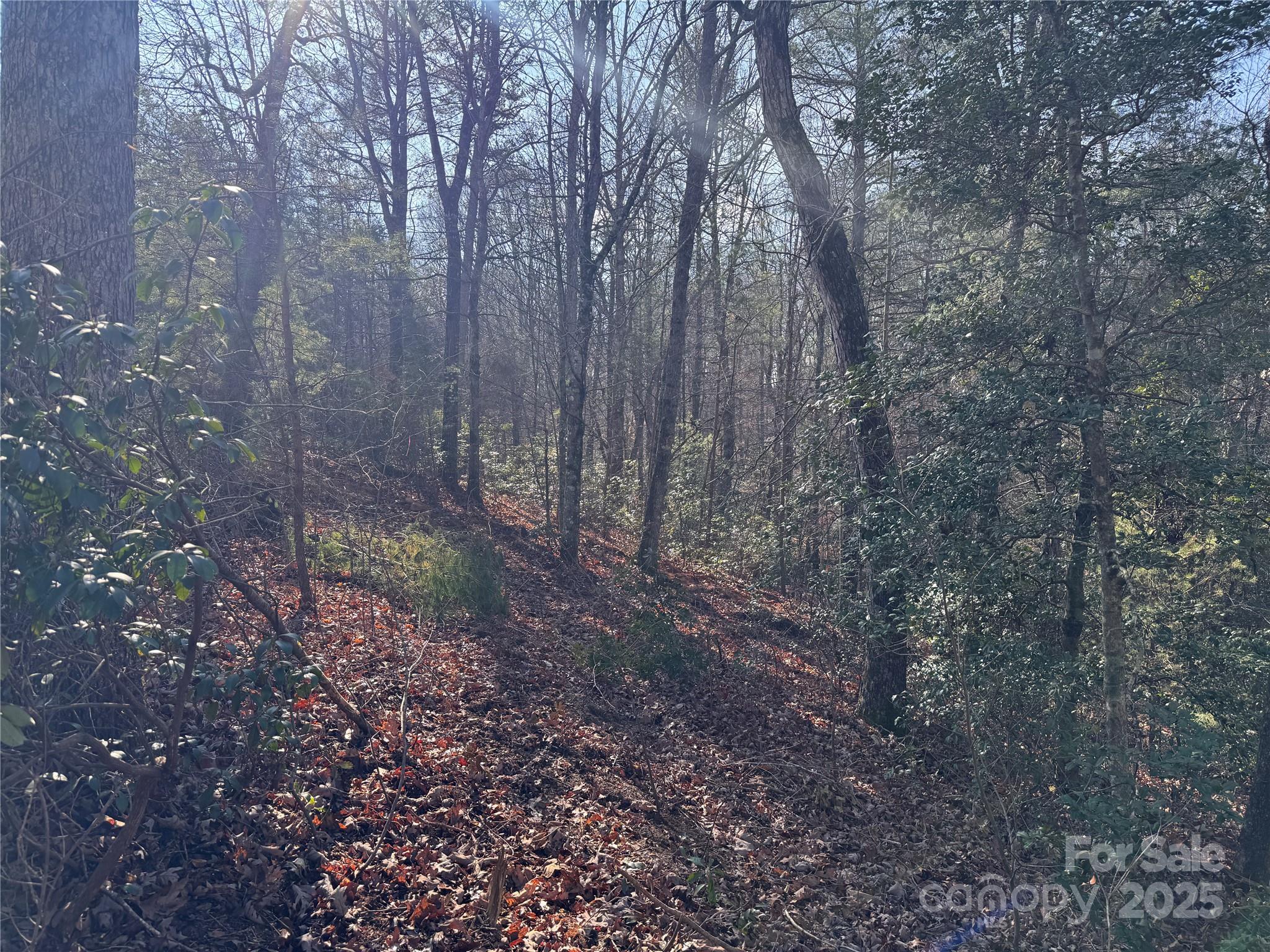 00 Virginia Ridge Connelly Springs NC 28612