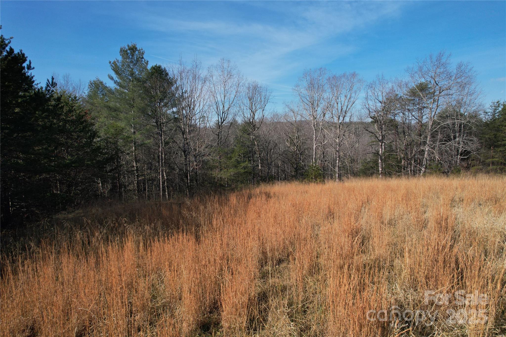 00 Virginia Ridge Connelly Springs NC 28612