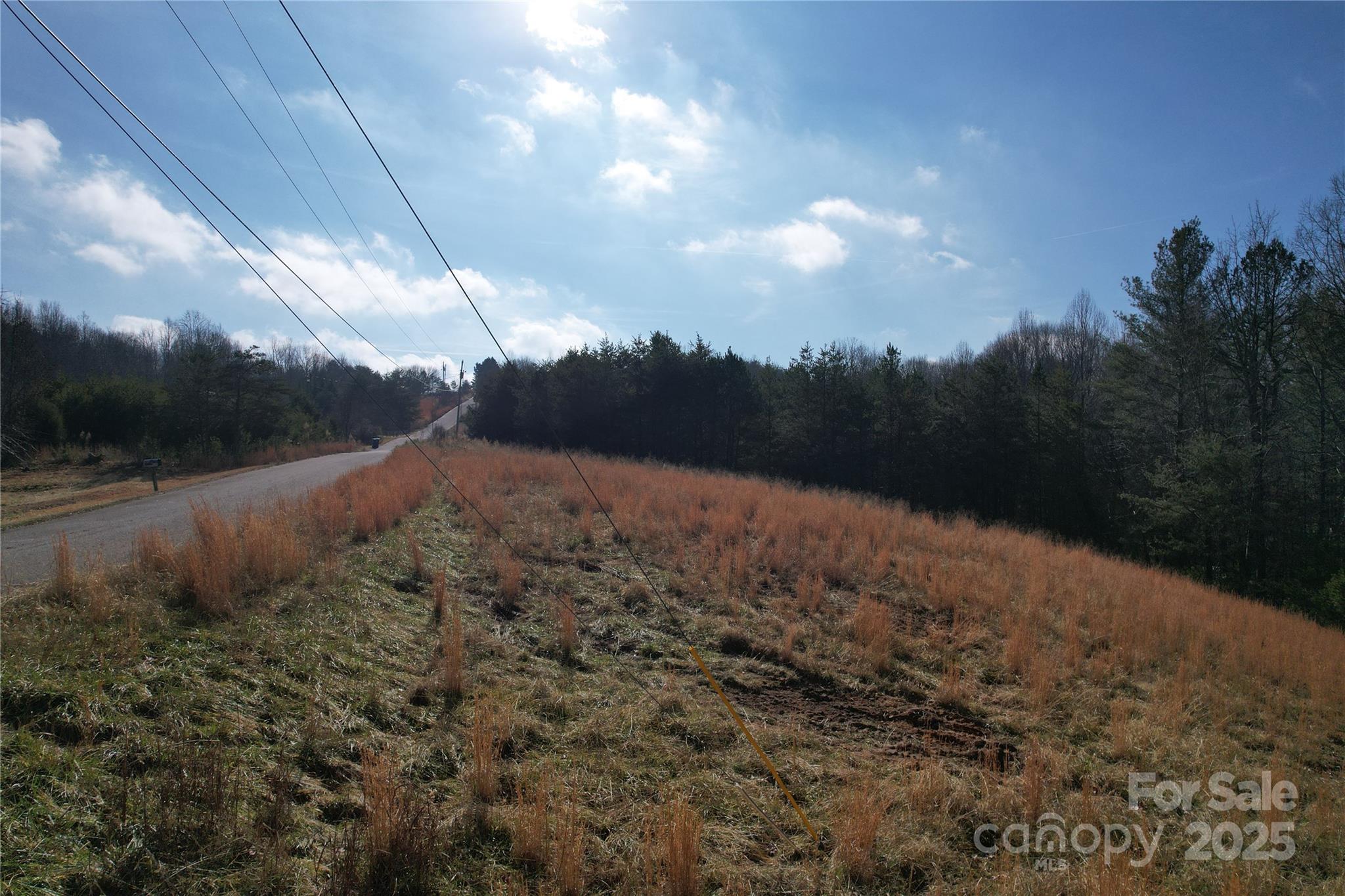 00 Virginia Ridge Connelly Springs NC 28612