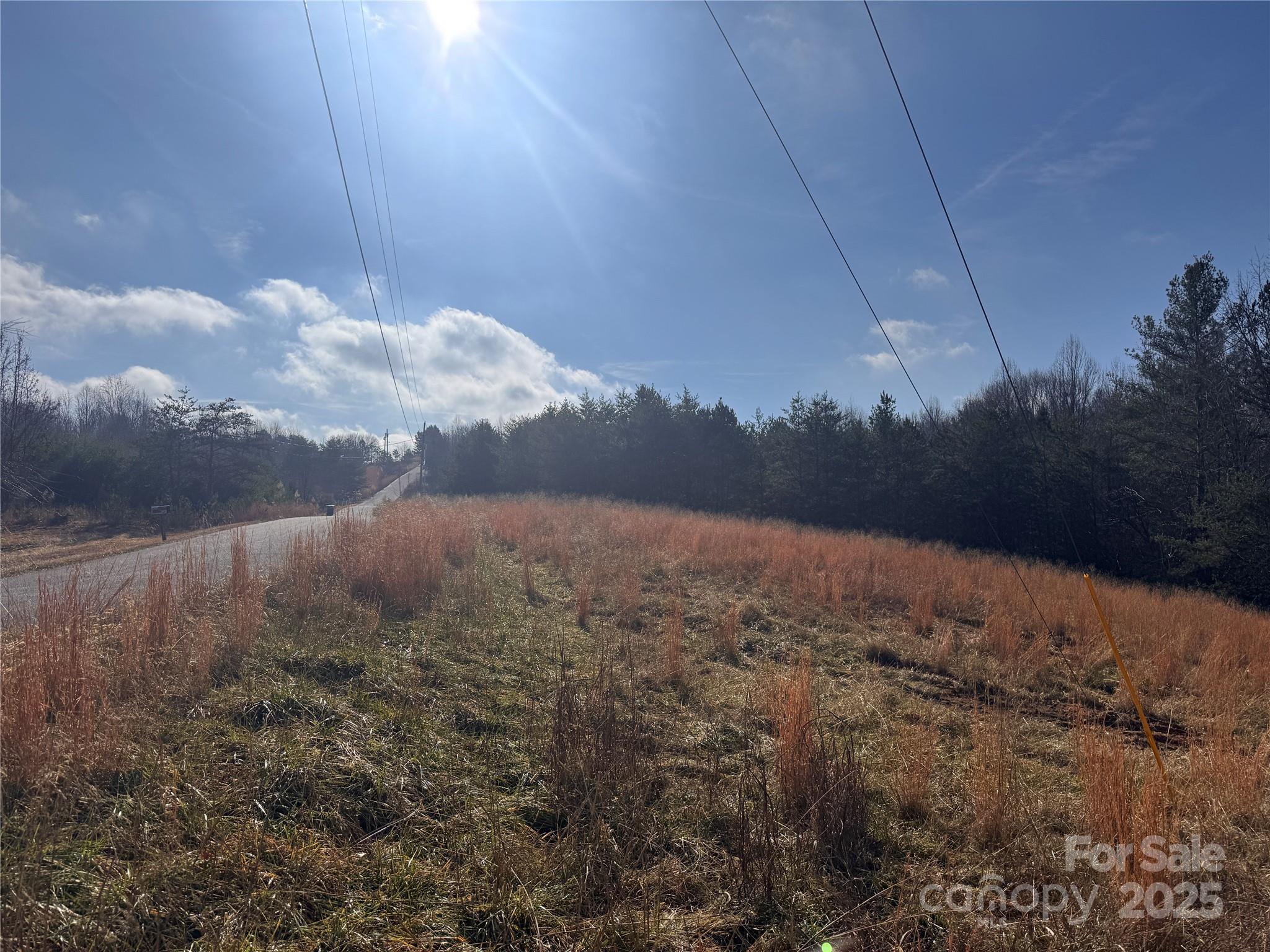 00 Virginia Ridge Connelly Springs NC 28612