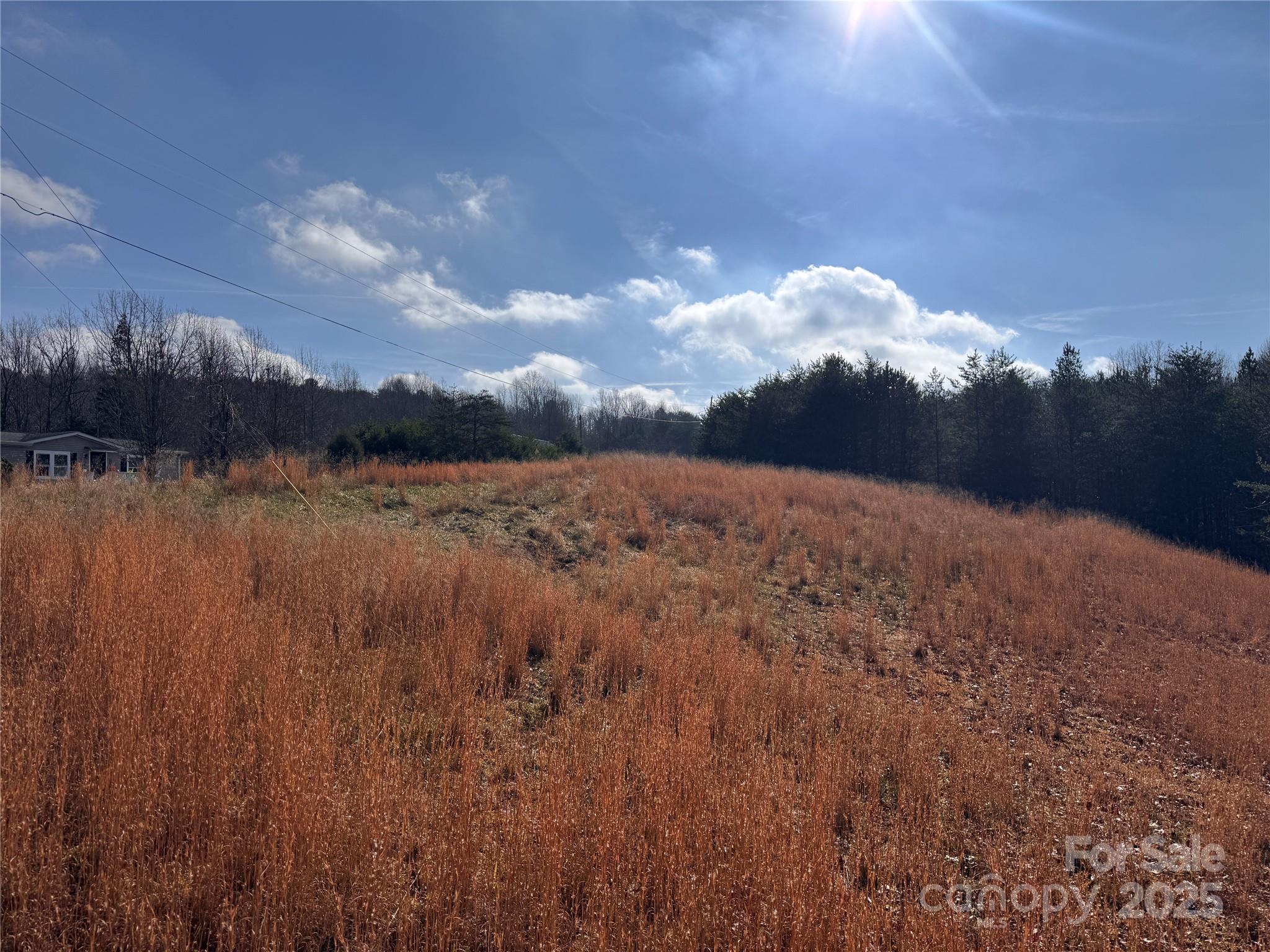 00 Virginia Ridge Connelly Springs NC 28612