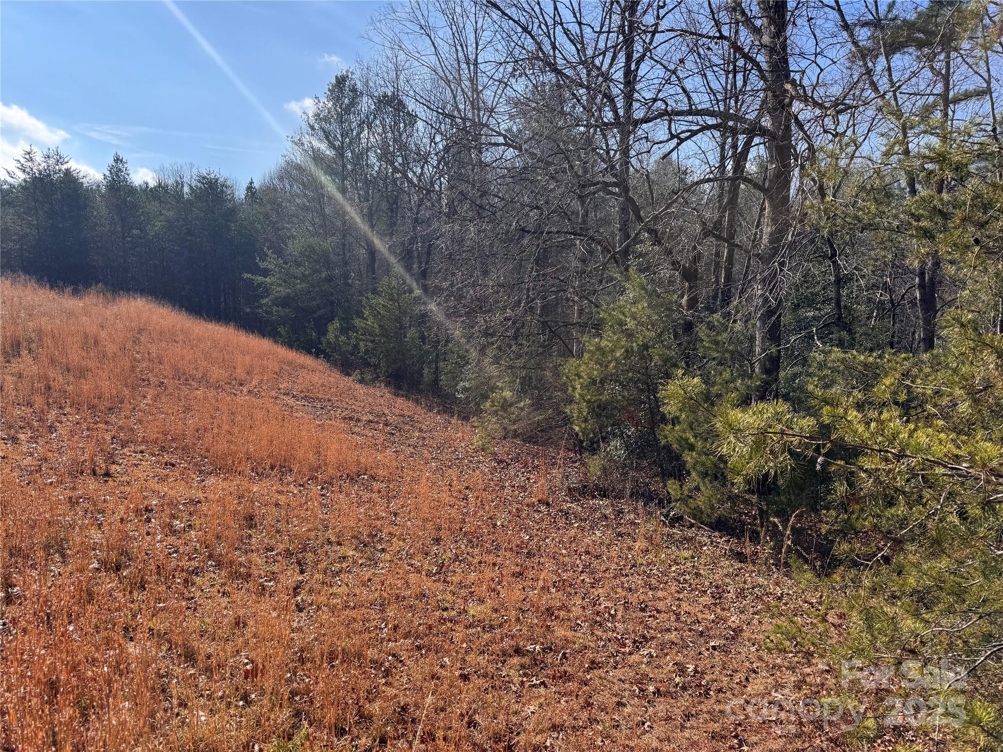 00 Virginia Ridge Connelly Springs NC 28612