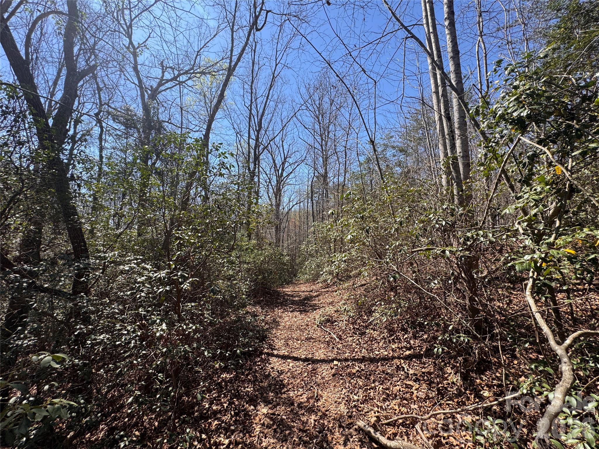 335 Woodrow Hoyle Road Casar NC 28020
