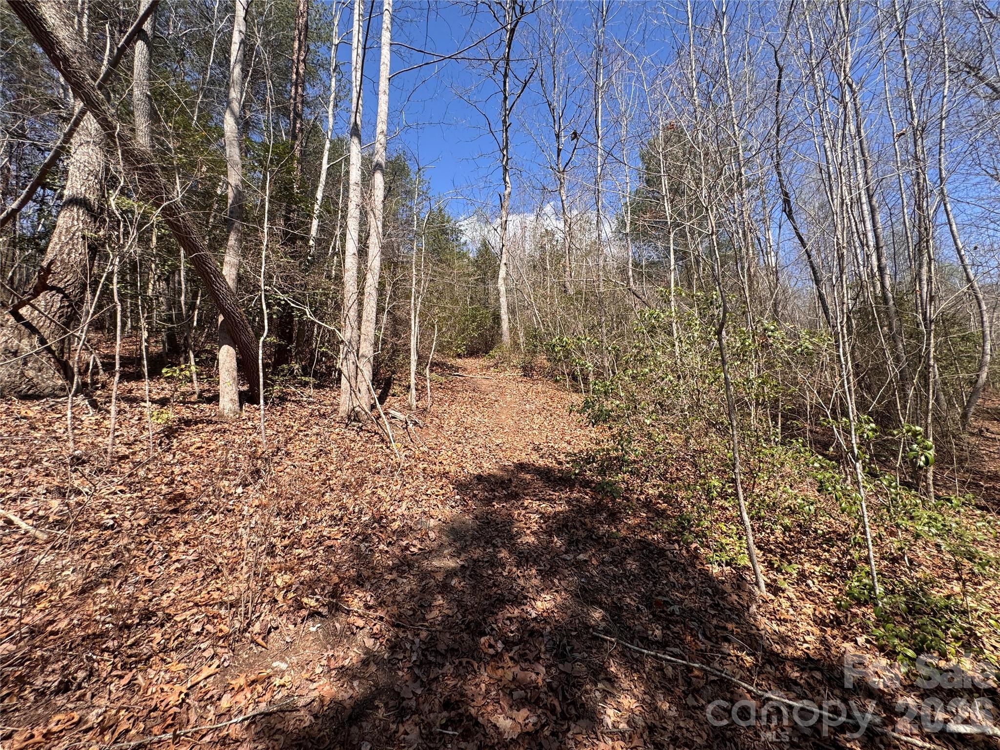 335 Woodrow Hoyle Road Casar NC 28020