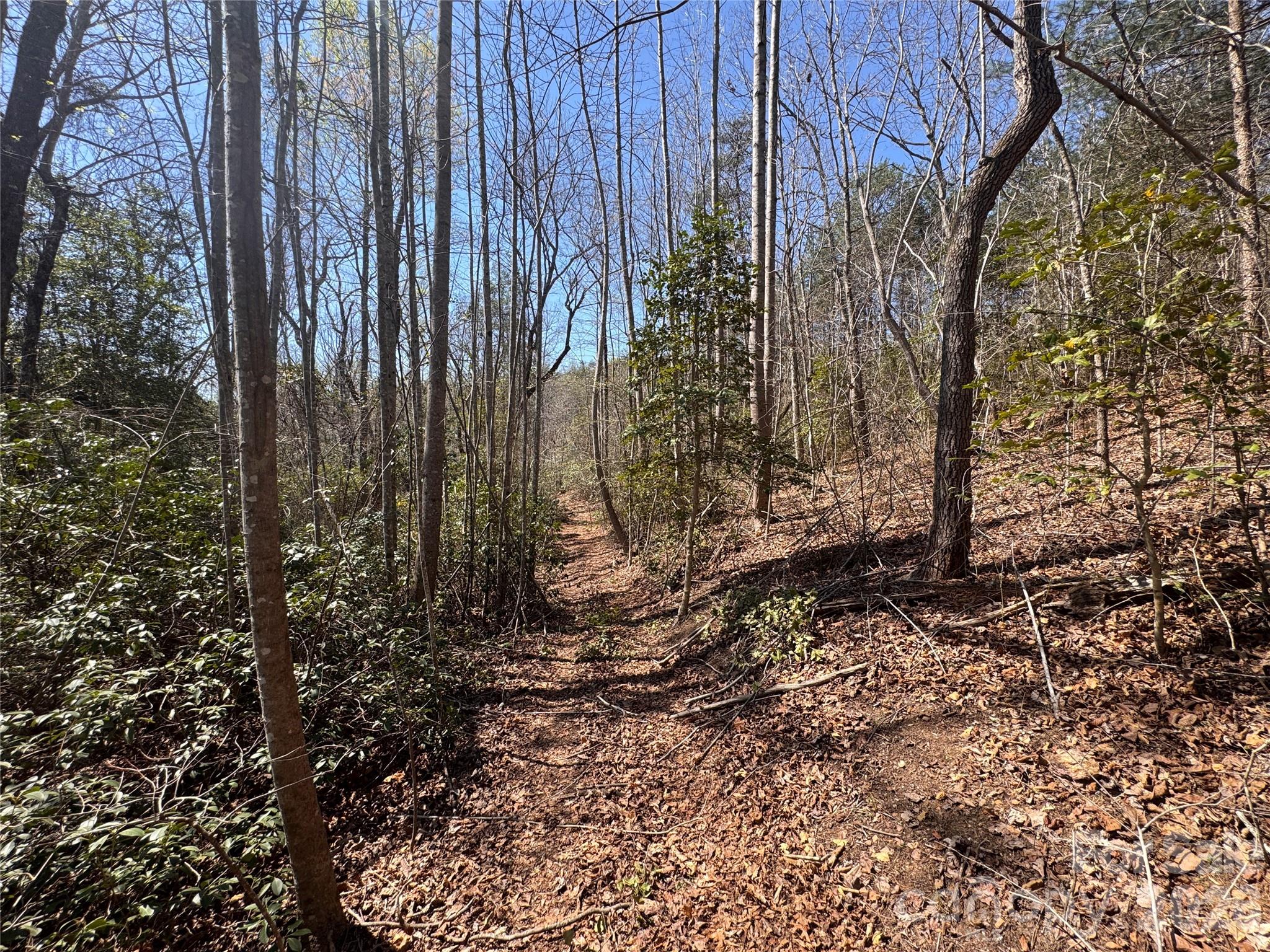335 Woodrow Hoyle Road Casar NC 28020