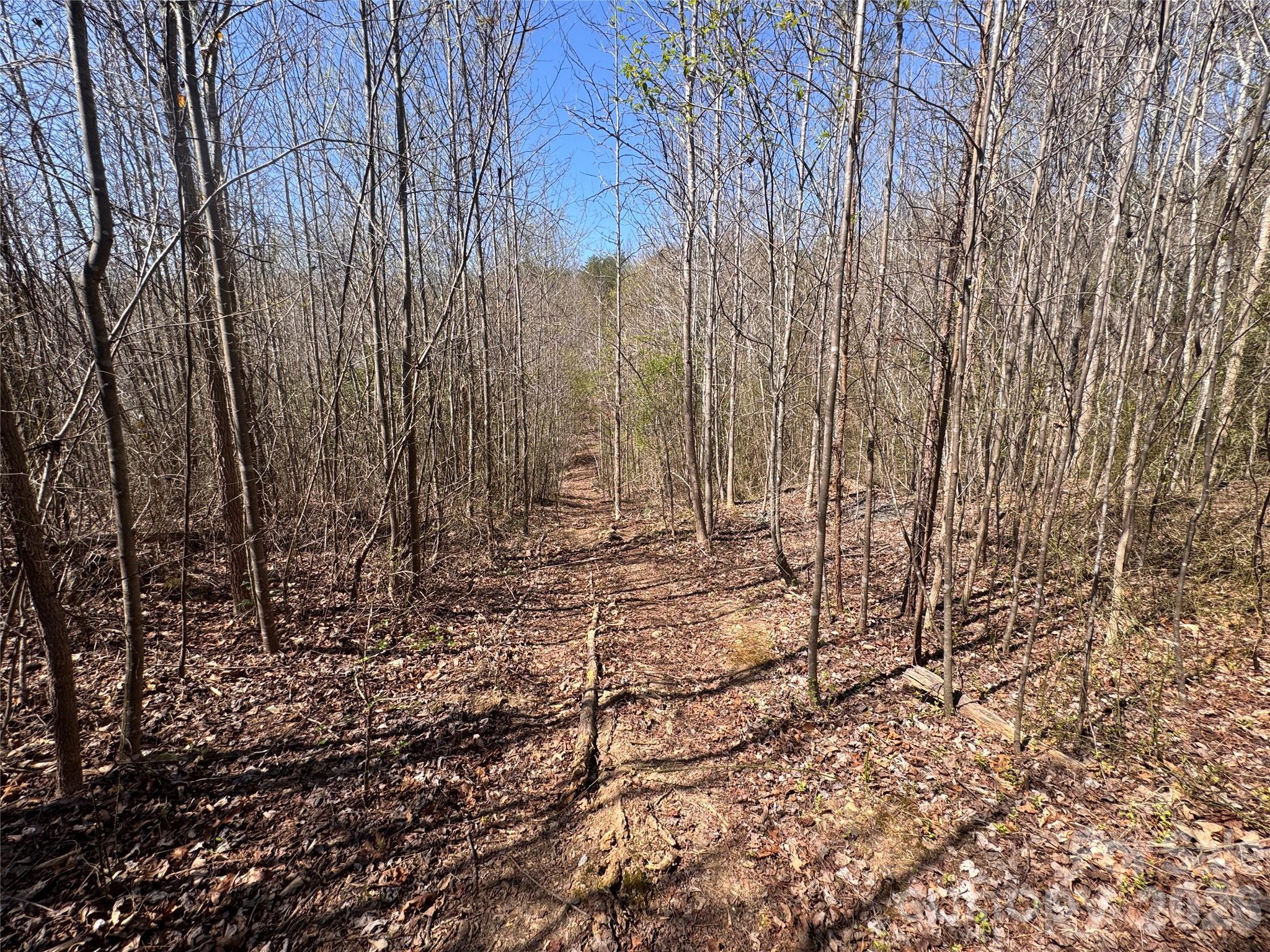 335 Woodrow Hoyle Road Casar NC 28020