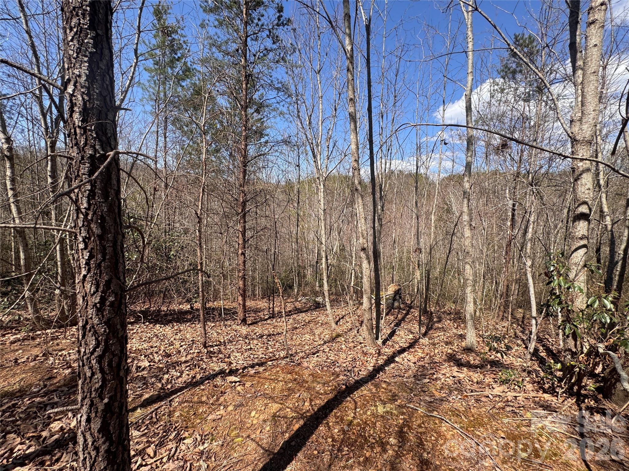 335 Woodrow Hoyle Road Casar NC 28020