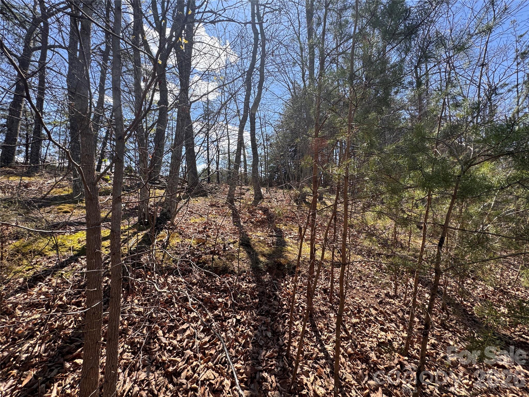 335 Woodrow Hoyle Road Casar NC 28020