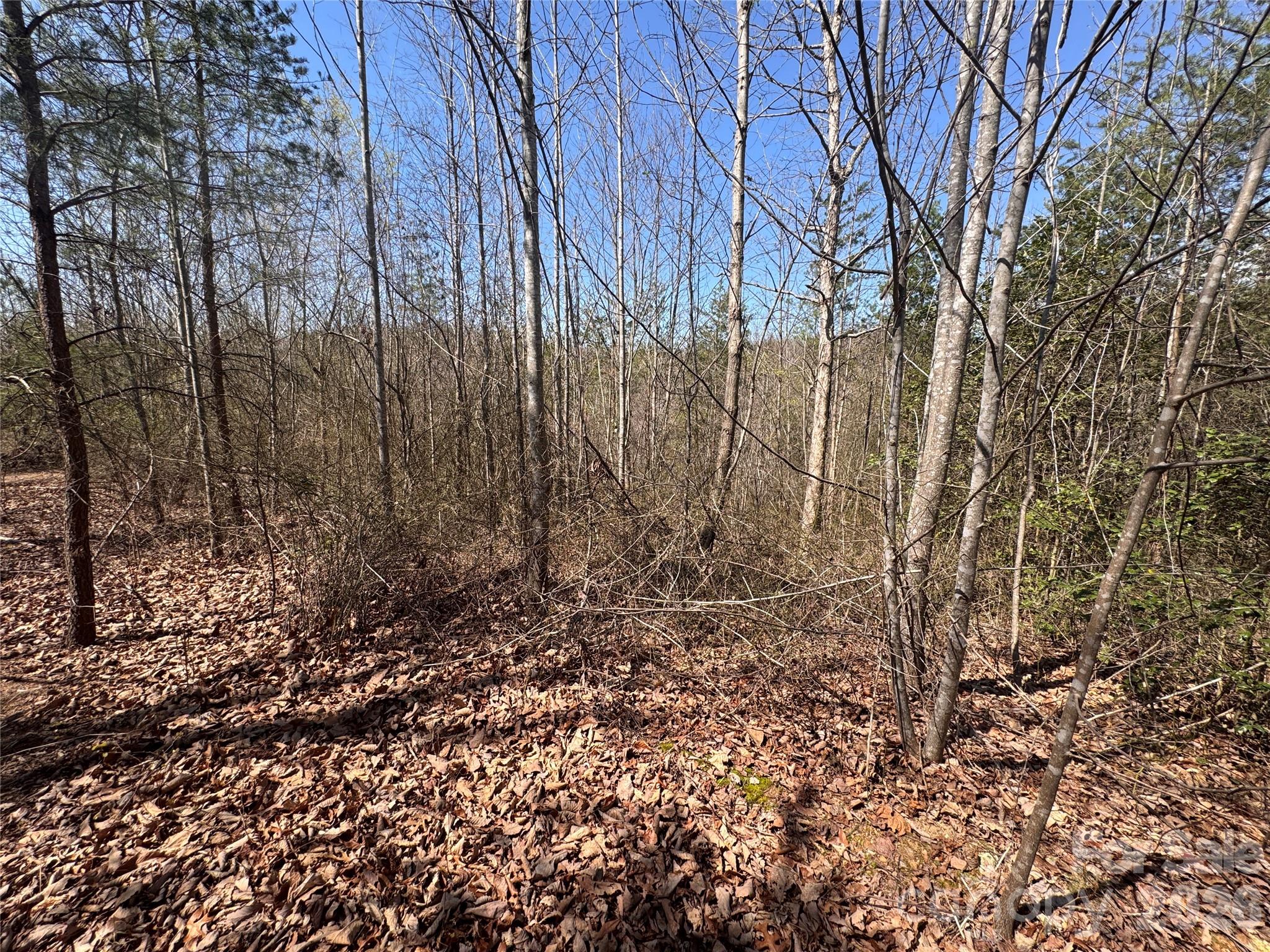 335 Woodrow Hoyle Road Casar NC 28020