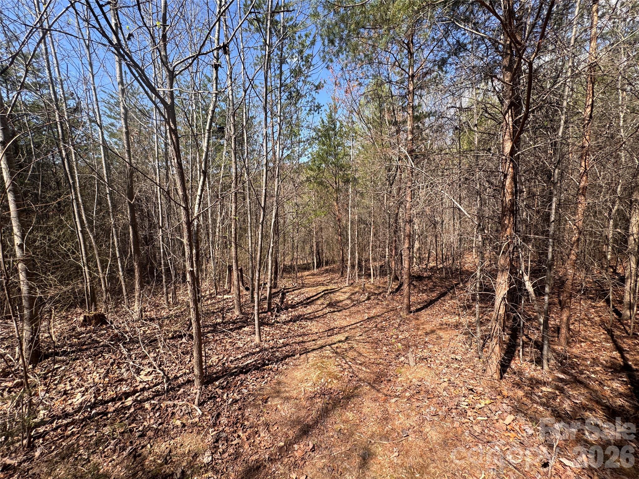 335 Woodrow Hoyle Road Casar NC 28020