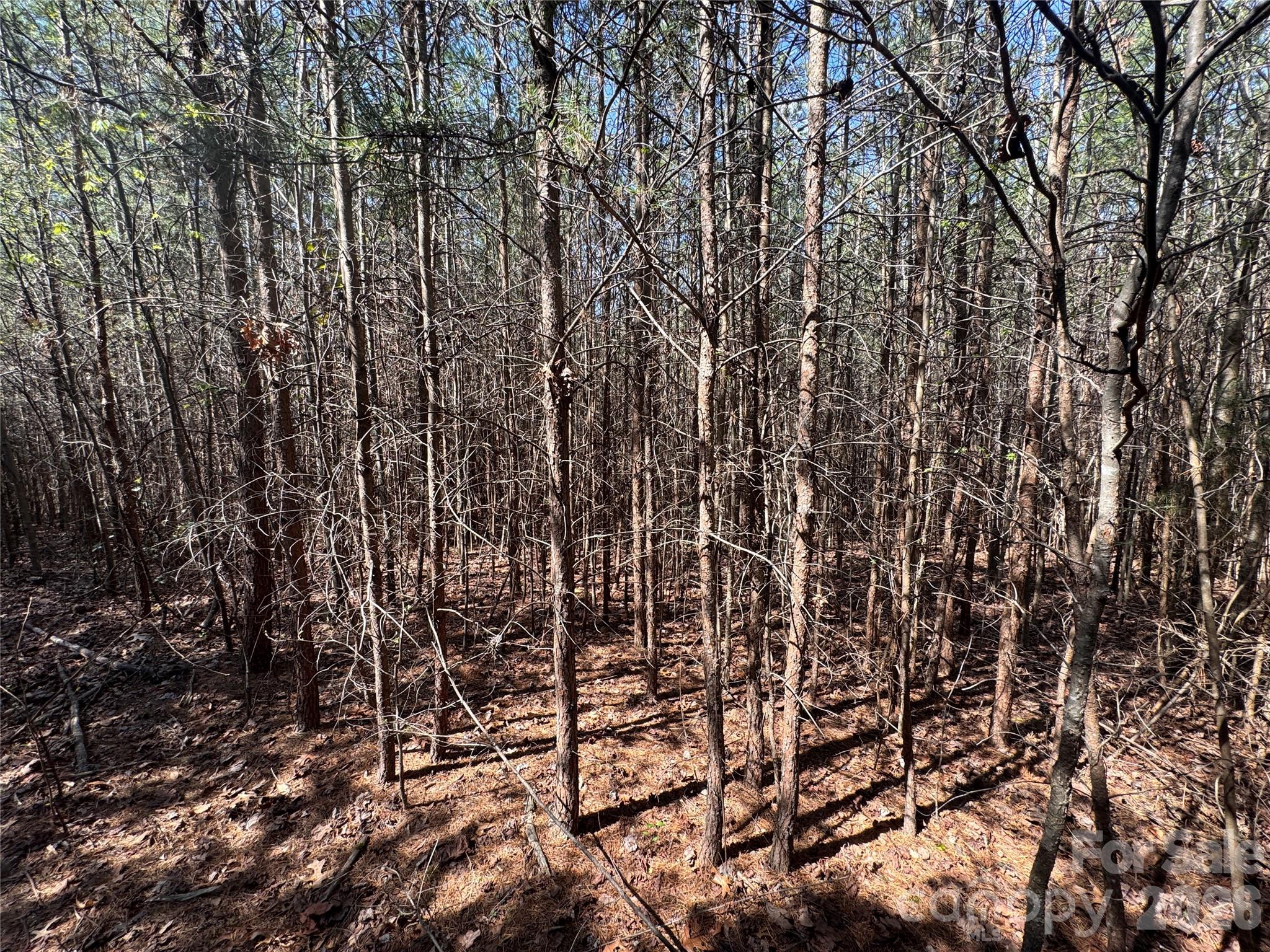 335 Woodrow Hoyle Road Casar NC 28020
