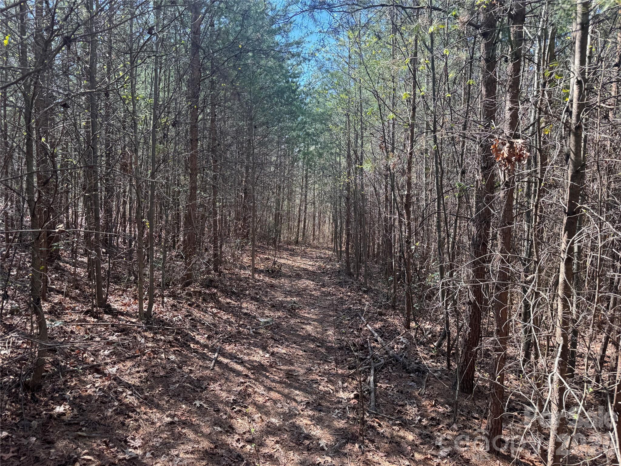 335 Woodrow Hoyle Road Casar NC 28020