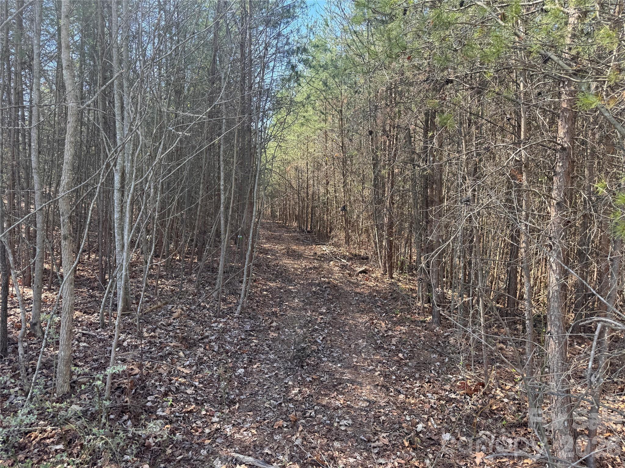 335 Woodrow Hoyle Road Casar NC 28020