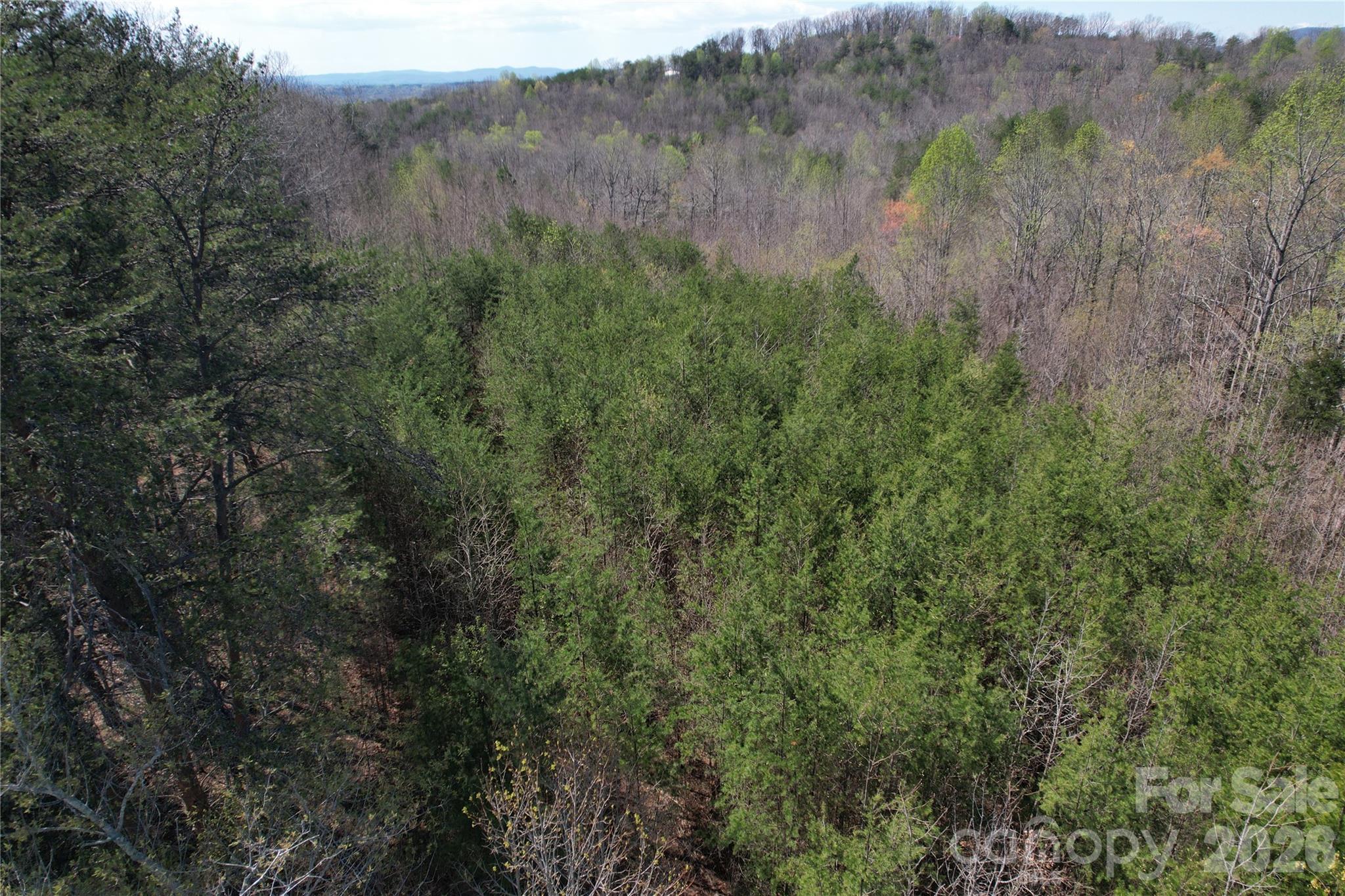 335 Woodrow Hoyle Road Casar NC 28020