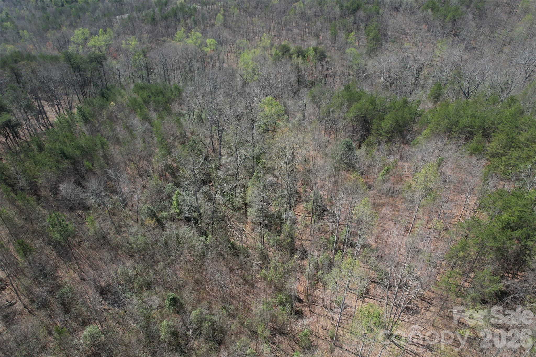 335 Woodrow Hoyle Road Casar NC 28020