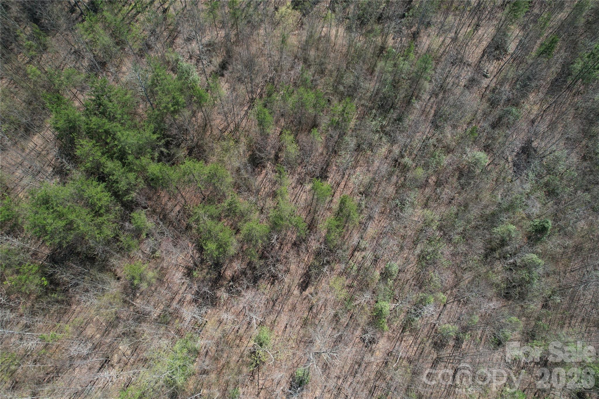 335 Woodrow Hoyle Road Casar NC 28020