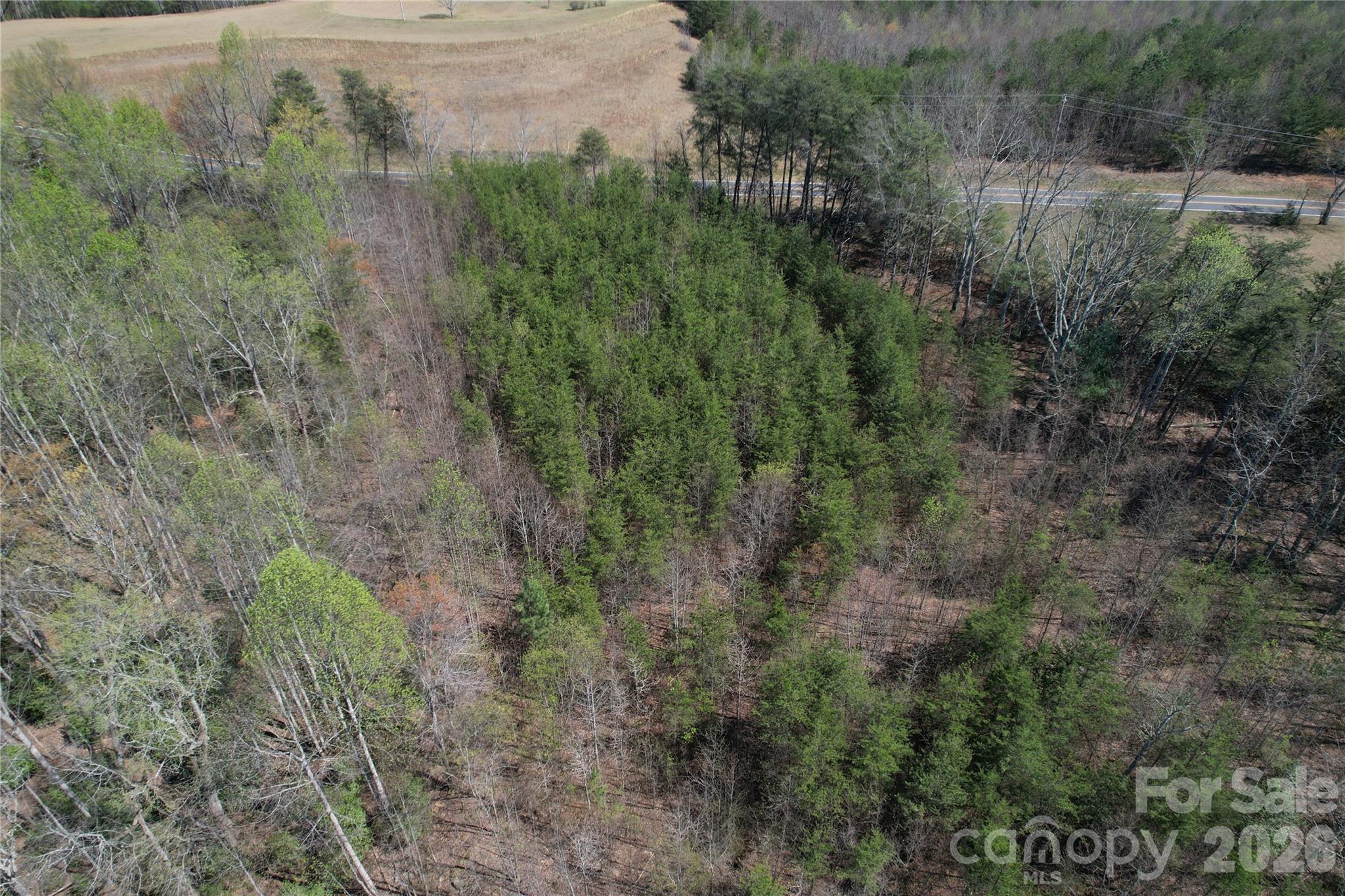 335 Woodrow Hoyle Road Casar NC 28020