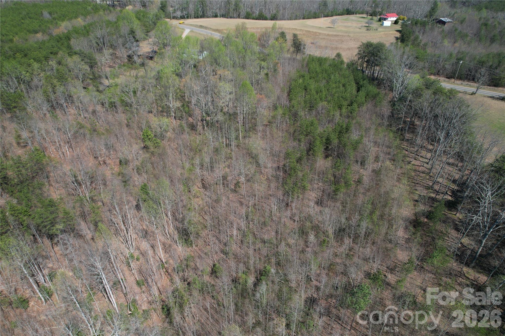 335 Woodrow Hoyle Road Casar NC 28020