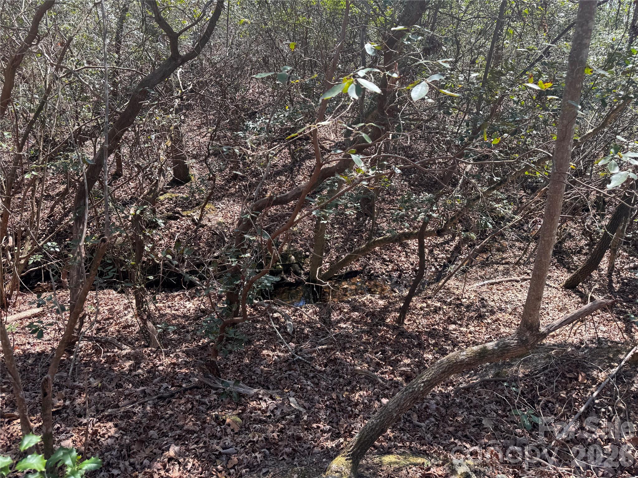 335 Woodrow Hoyle Road Casar NC 28020