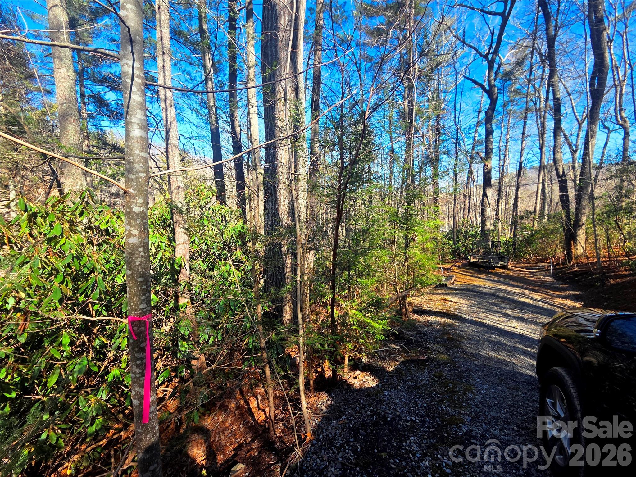 115 Fragrant Pine Drive Waynesville NC 28785