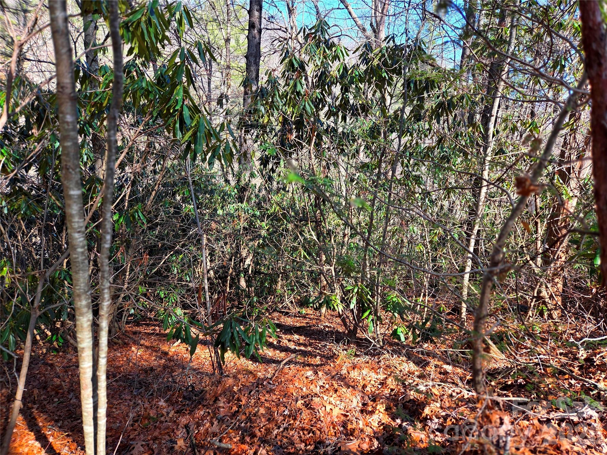 115 Fragrant Pine Drive Waynesville NC 28785
