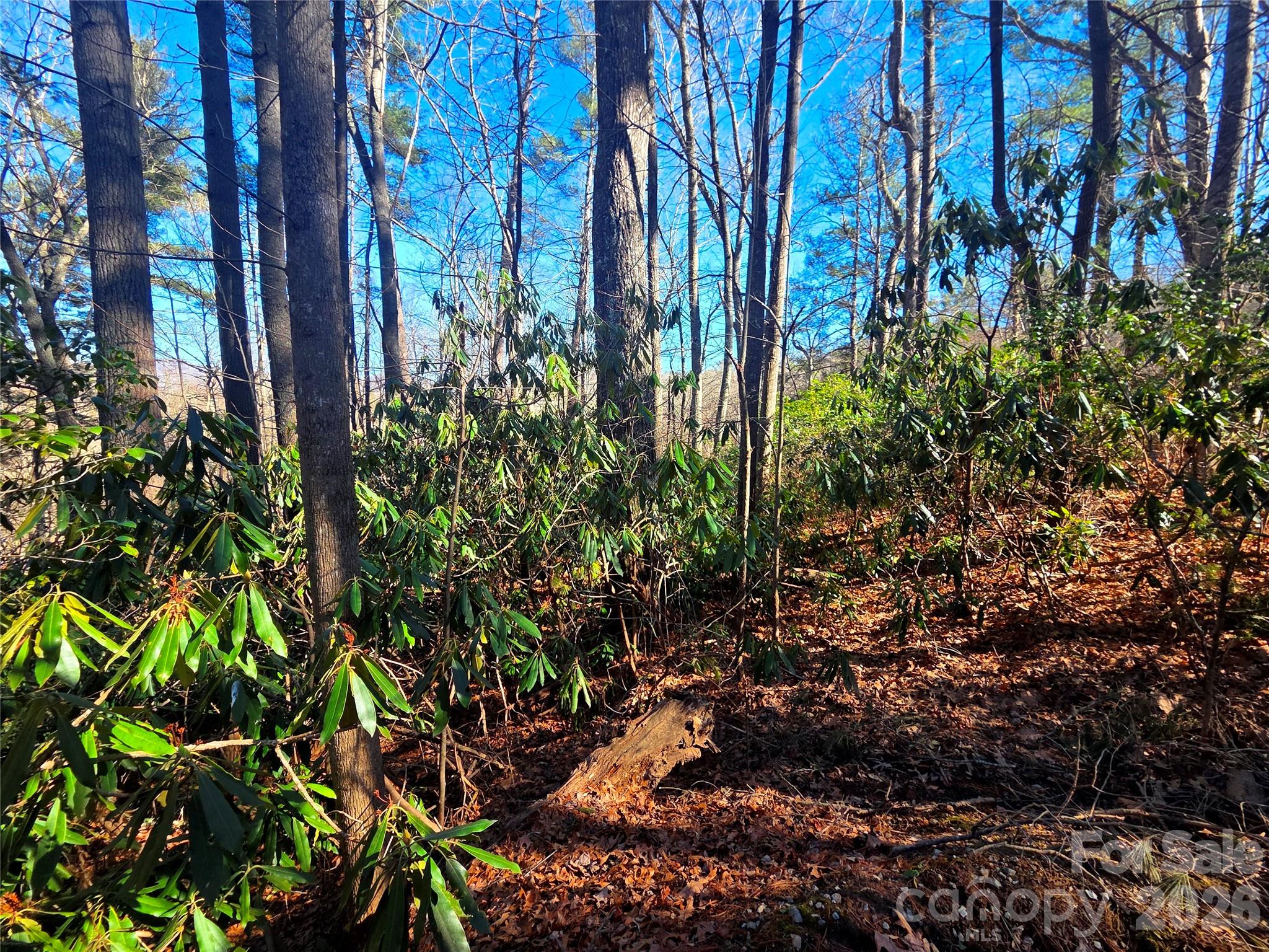 115 Fragrant Pine Drive Waynesville NC 28785