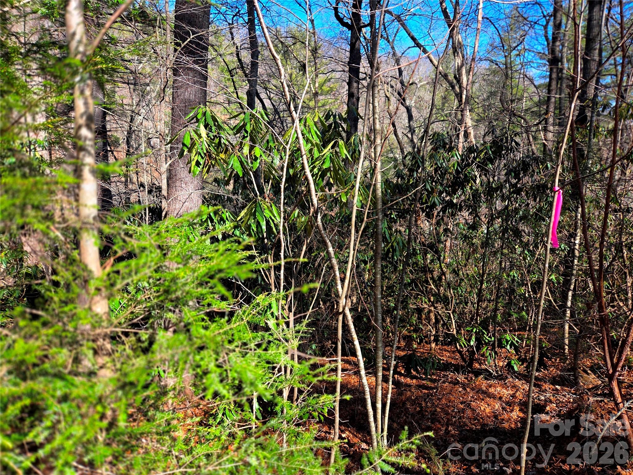 115 Fragrant Pine Drive Waynesville NC 28785