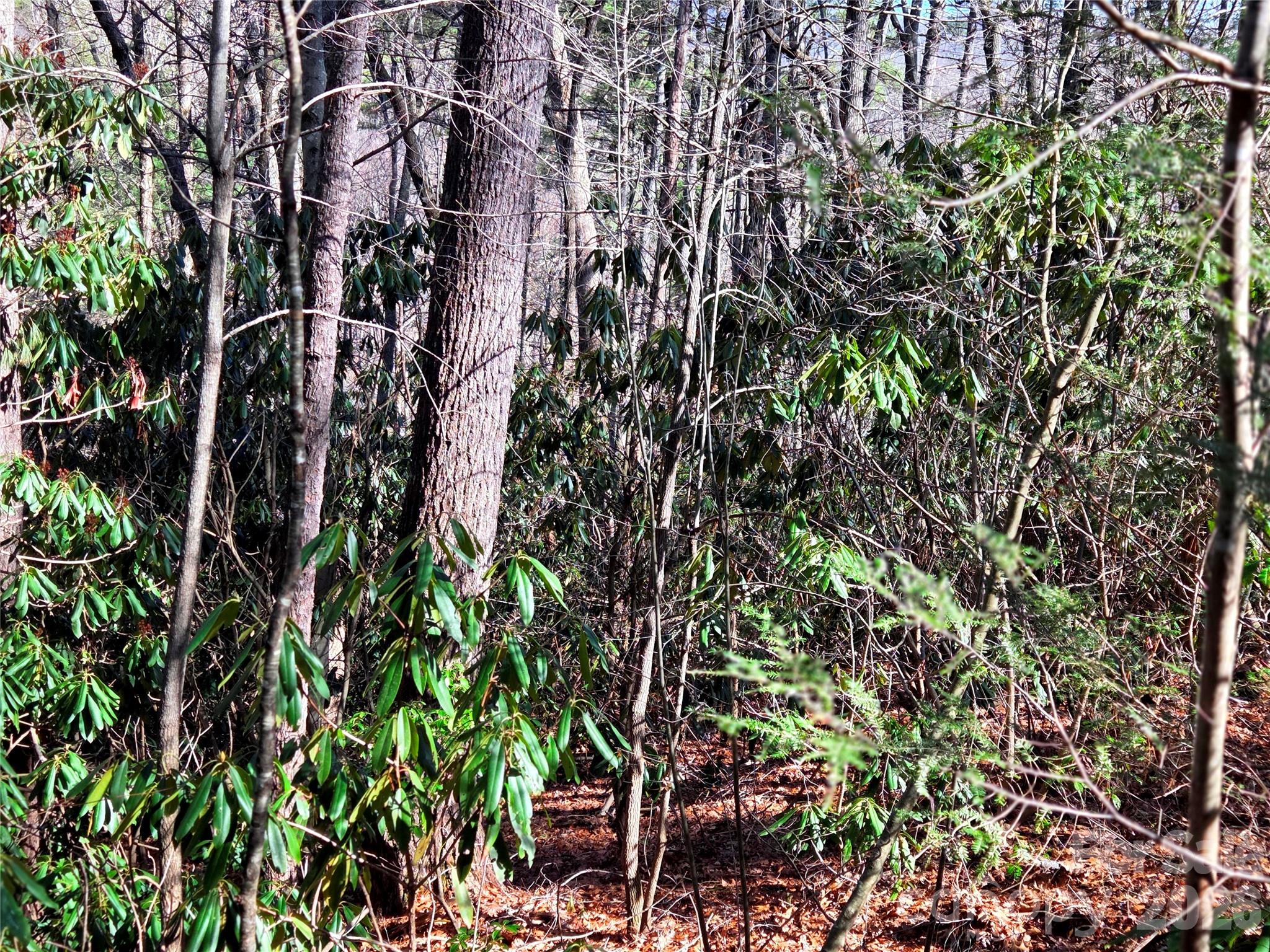 115 Fragrant Pine Drive Waynesville NC 28785