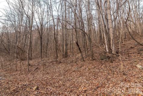 630 Spring Cove Lane Mill Spring NC 28756