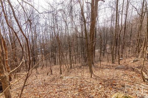 630 Spring Cove Lane Mill Spring NC 28756