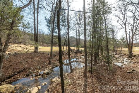 630 Spring Cove Lane Mill Spring NC 28756