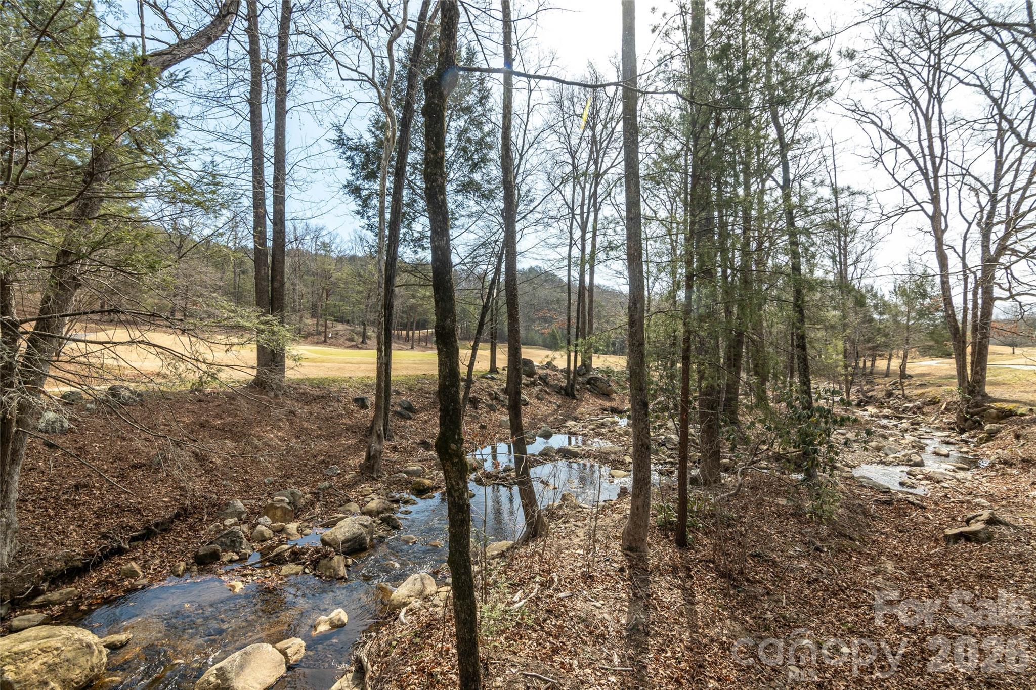 630 Spring Cove Lane Mill Spring NC 28756