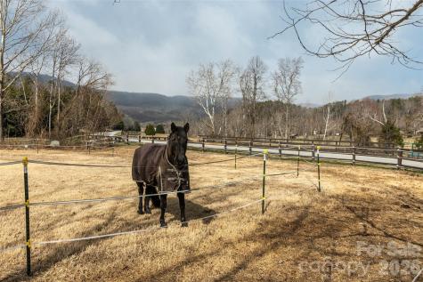 630 Spring Cove Lane Mill Spring NC 28756
