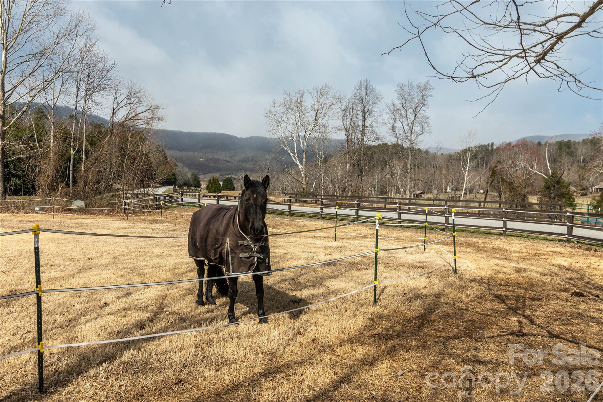 630 Spring Cove Lane Mill Spring NC 28756