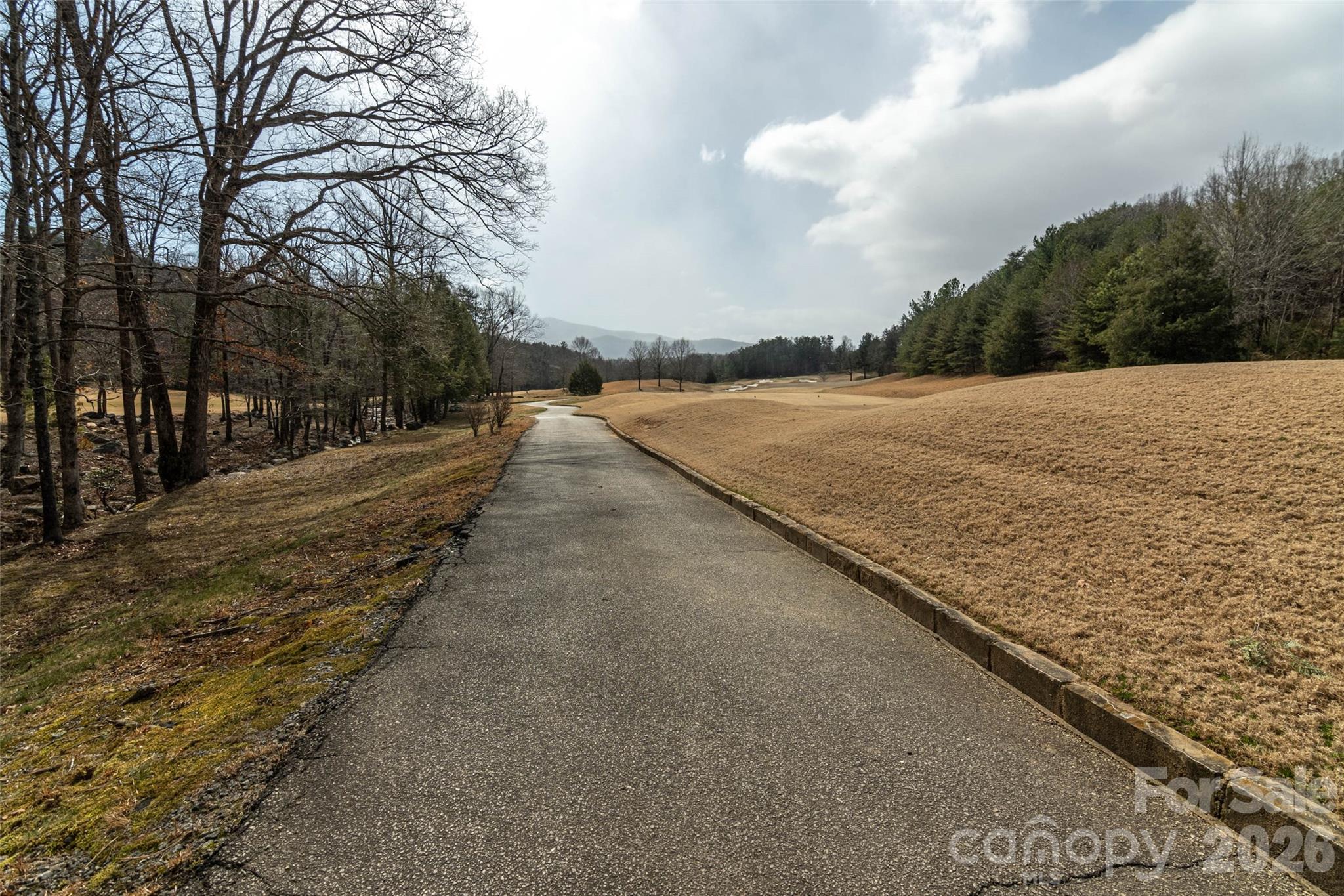 630 Spring Cove Lane Mill Spring NC 28756