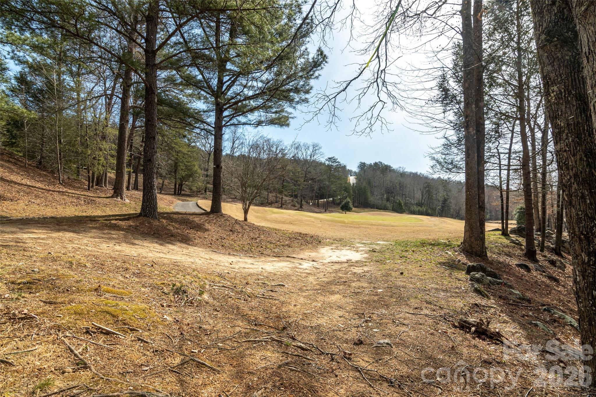 630 Spring Cove Lane Mill Spring NC 28756