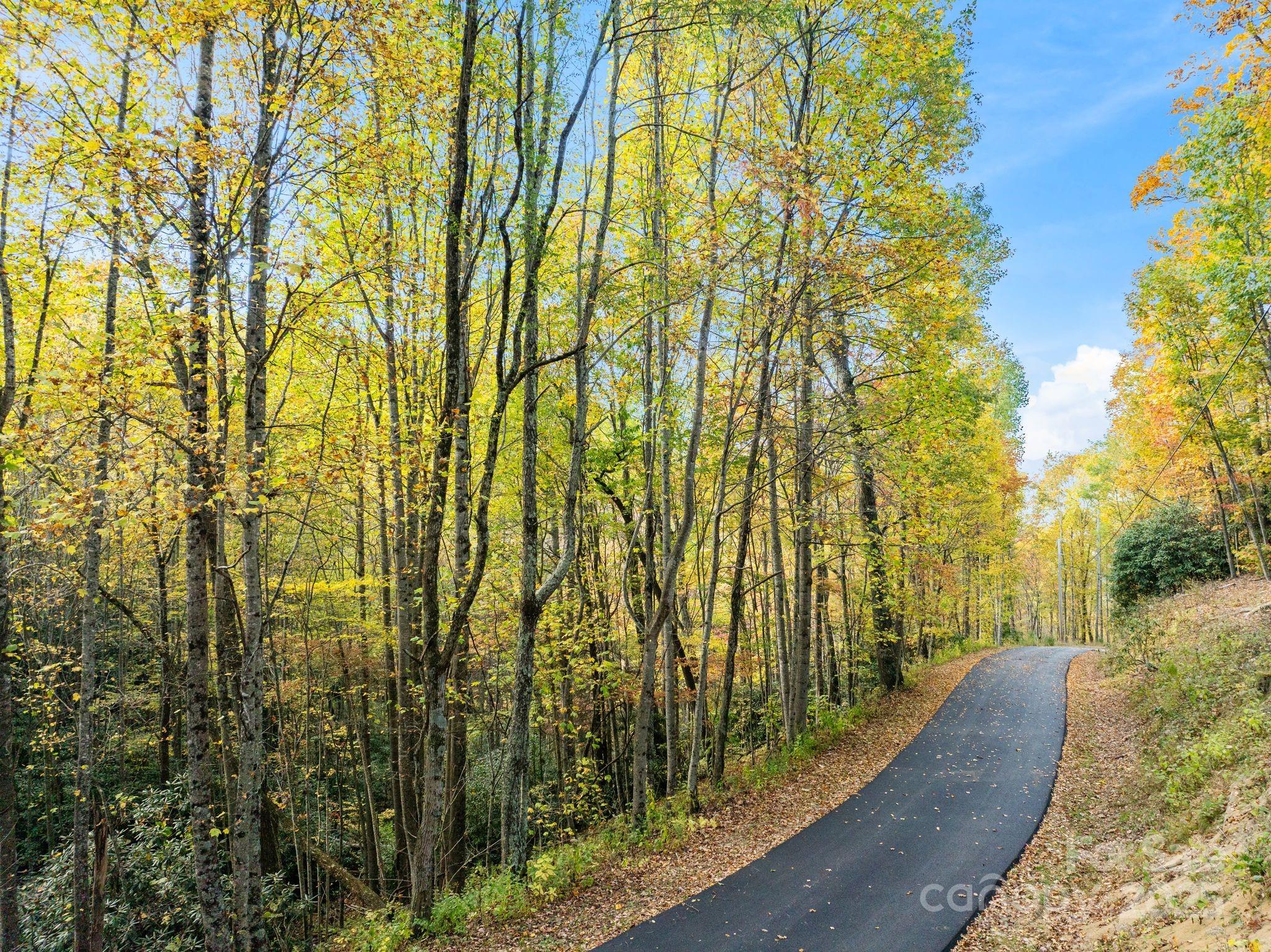 99999 Lytle Cove Road Swannanoa NC 28778