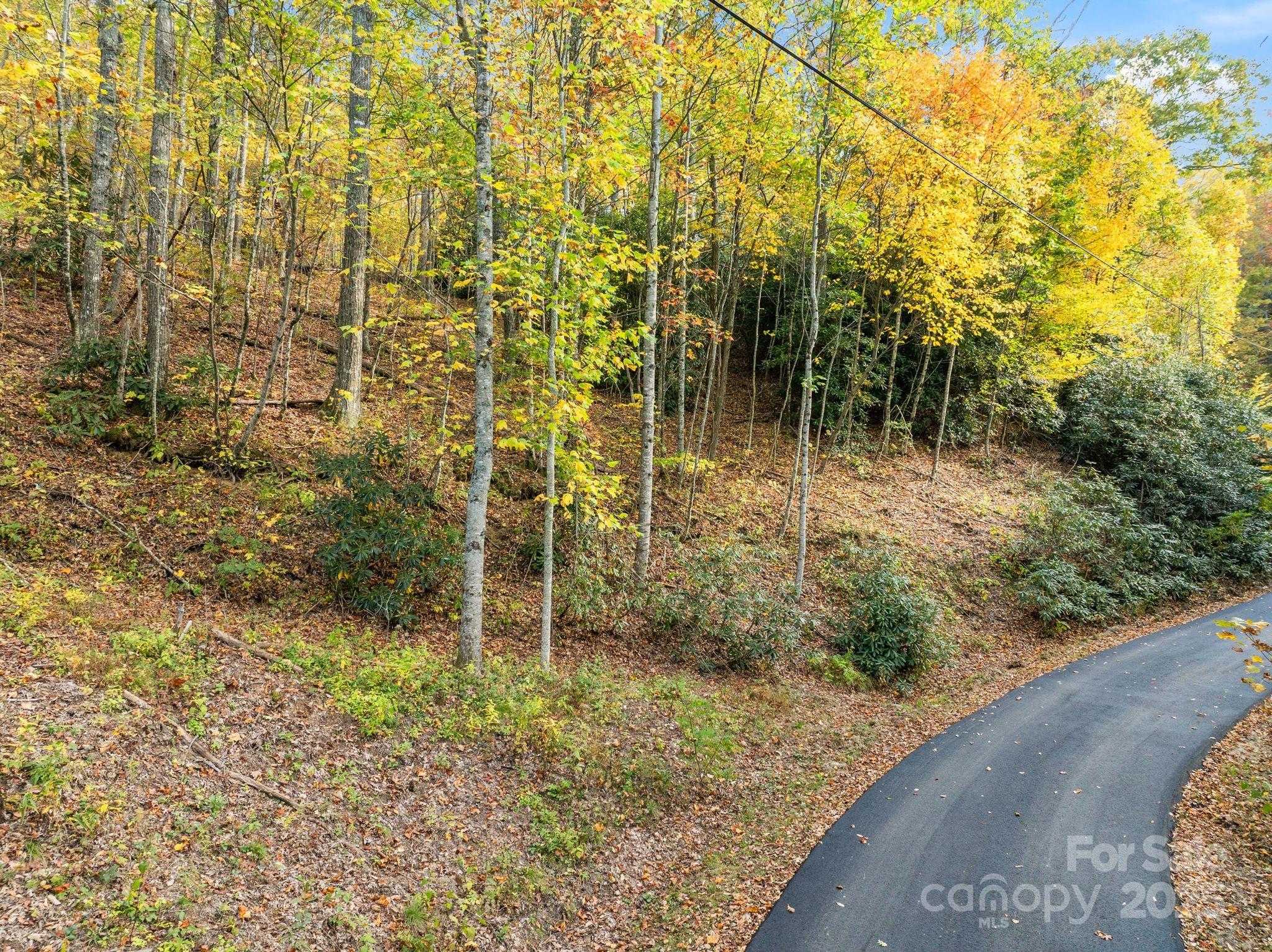 99999 Lytle Cove Road Swannanoa NC 28778