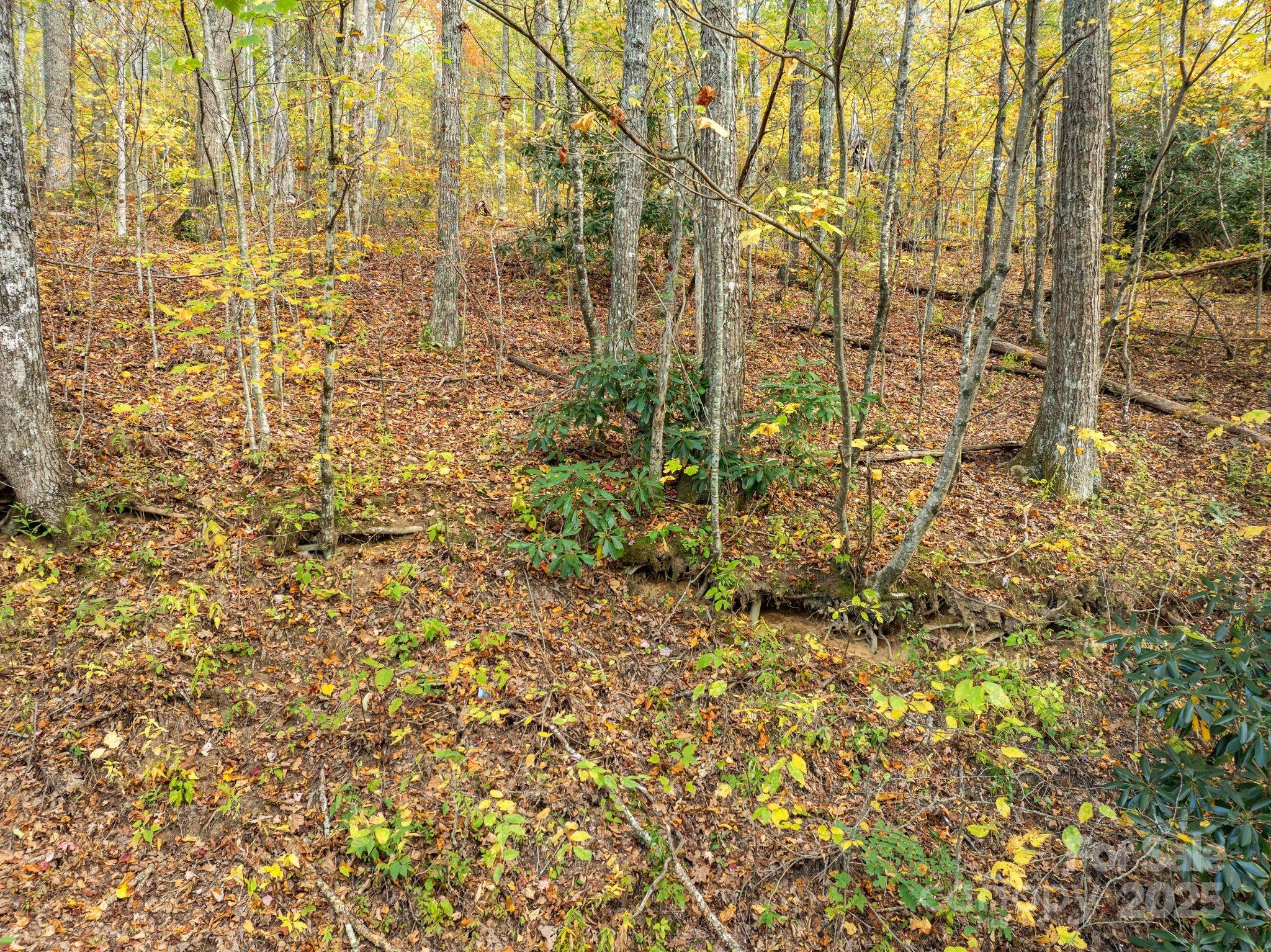 99999 Lytle Cove Road Swannanoa NC 28778